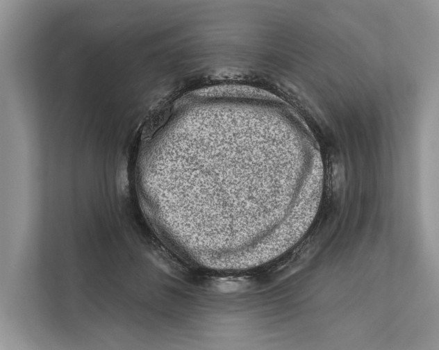 X0000110860508200907091343