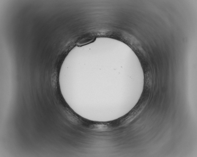 X0000110860509200907091343