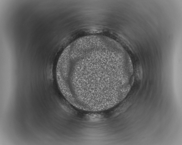 X0000110860512200907091343