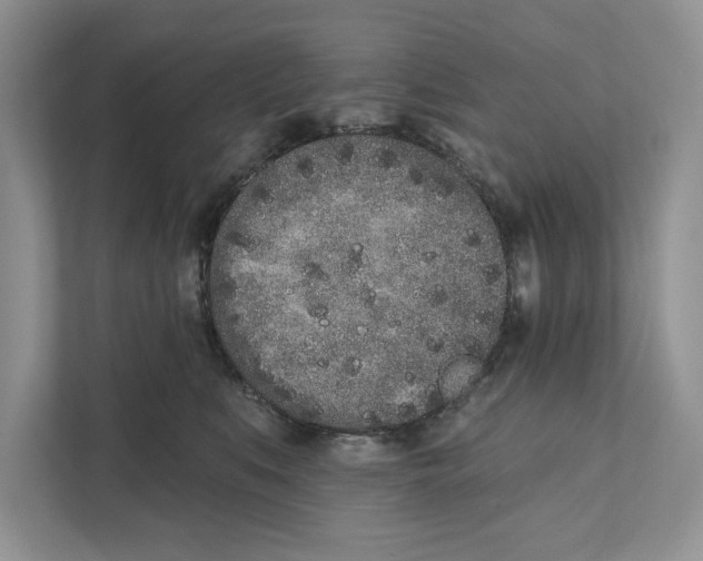 X0000110860519200907091343