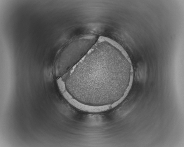 X0000110860520200907091343