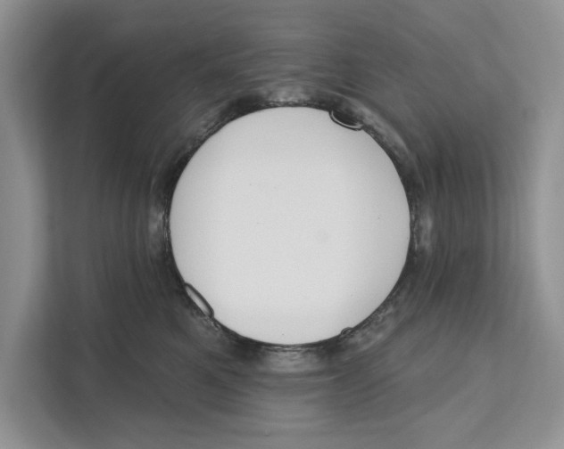 X0000110860521200907091343