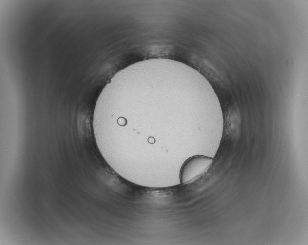 X0000110860522200907091343