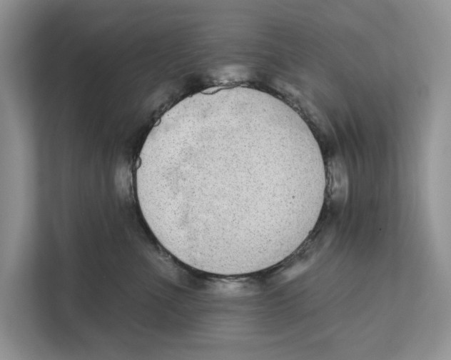 X0000110860523200907091343