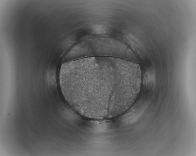 X0000110860524200907091343