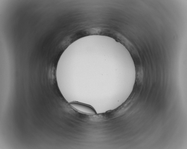 X0000110860525200907091343