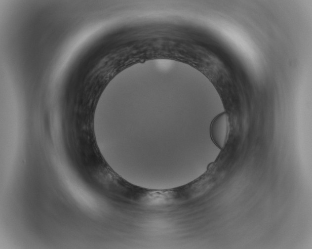 X0000110860526200907091343