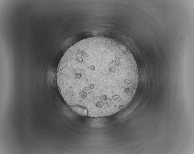 X0000110860527200907091343