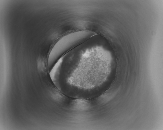 X0000110860528200907091343