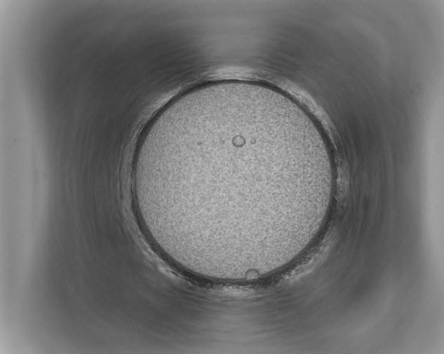 X0000110860529200907091342