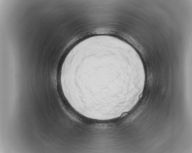 X0000110860530200907091342