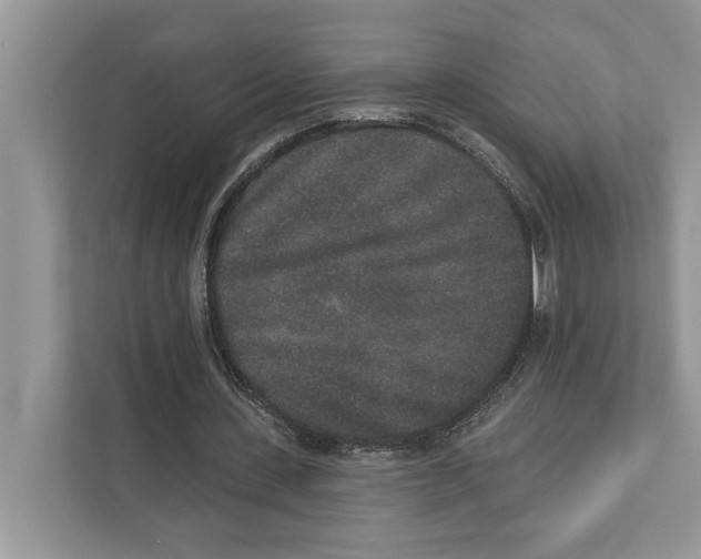 X0000110860531200907091342