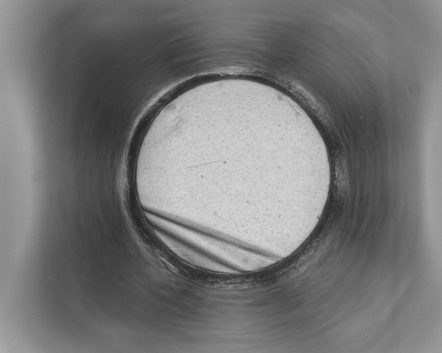 X0000110860532200907091342