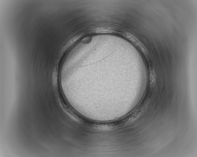 X0000110860533200907091342