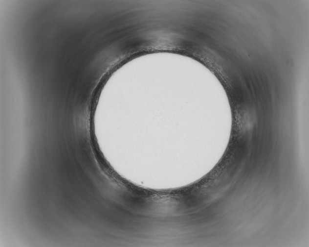 X0000110860534200907091342