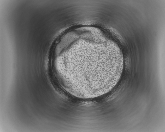 X0000110860540200907091342