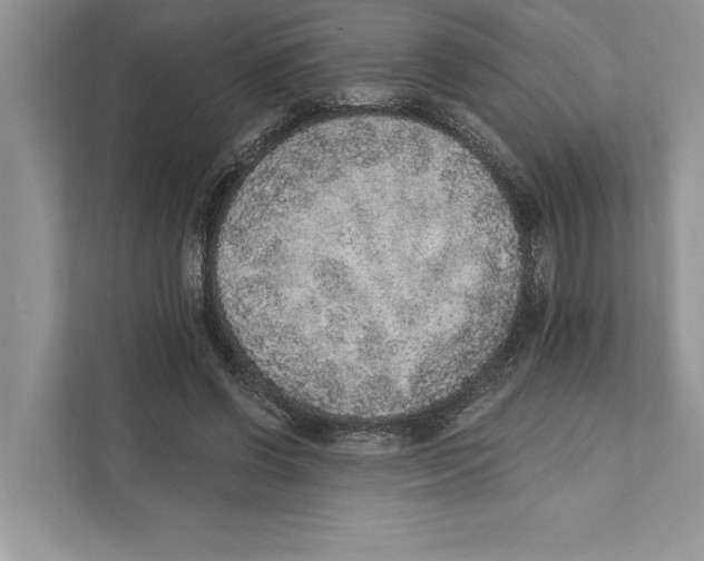 X0000110860542200907091342