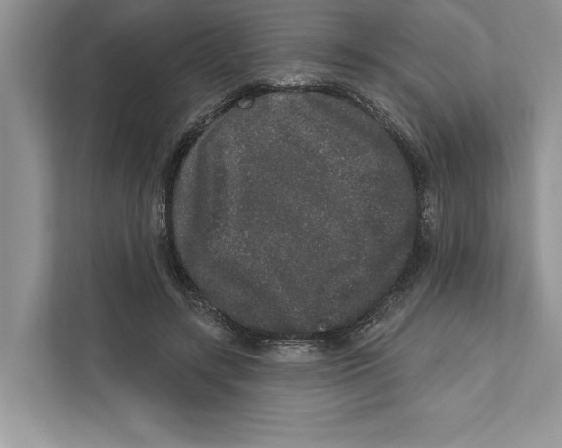 X0000110860547200907091342