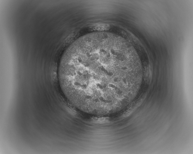 X0000110860553200907091342