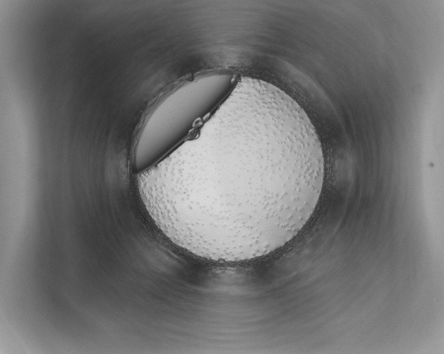 X0000110860558200907091342