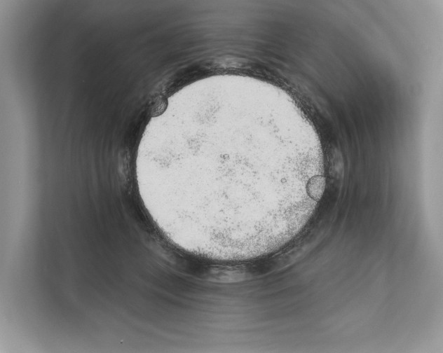 X0000110860559200907091342