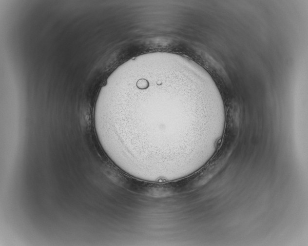 X0000110860561200907091342