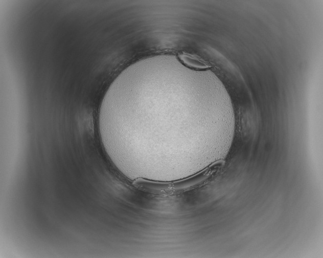 X0000110860562200907091342