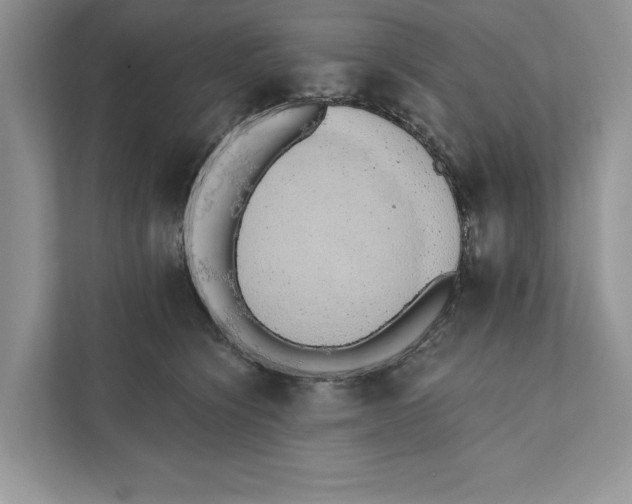 X0000110860564200907091342