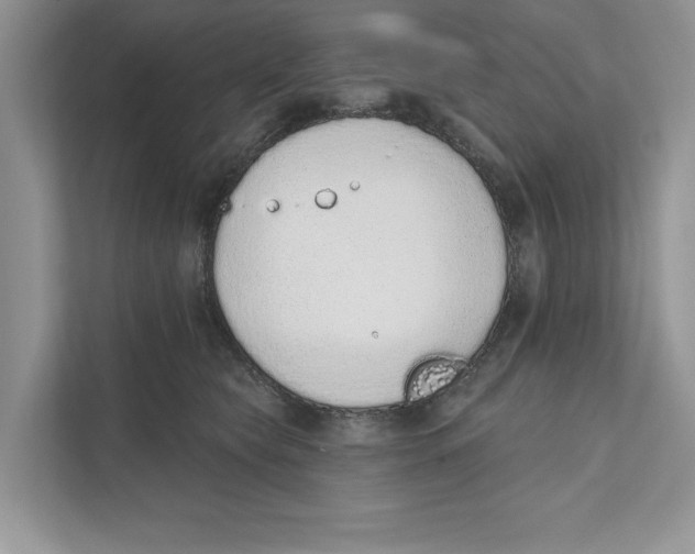 X0000110860565200907091342