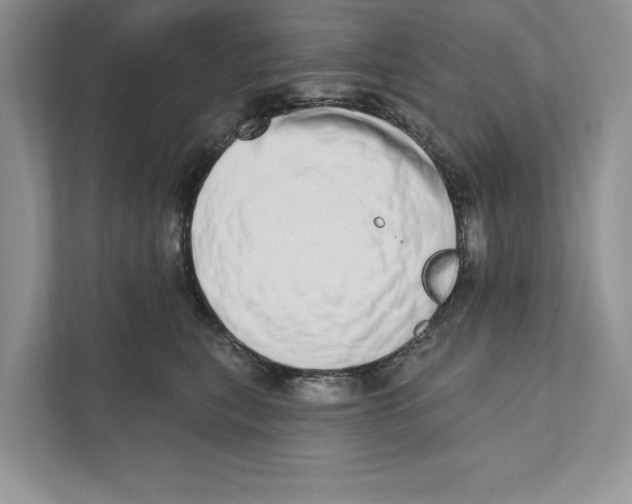 X0000110860567200907091342