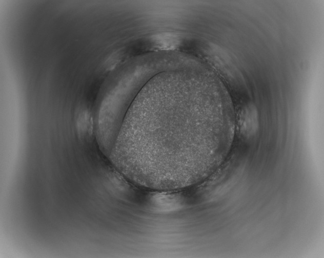 X0000110860568200907091343