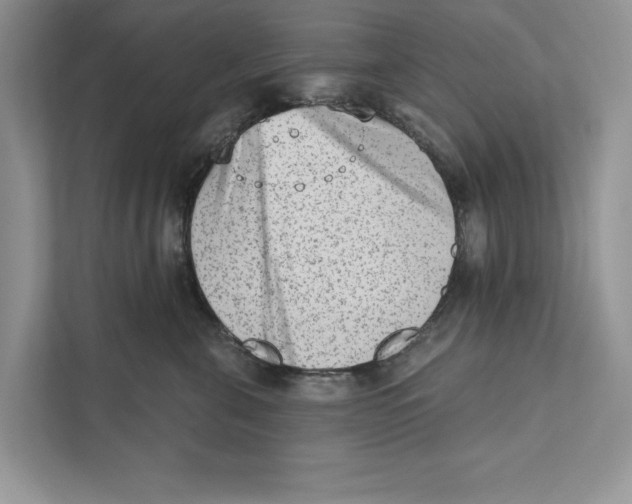 X0000110860571200907091343