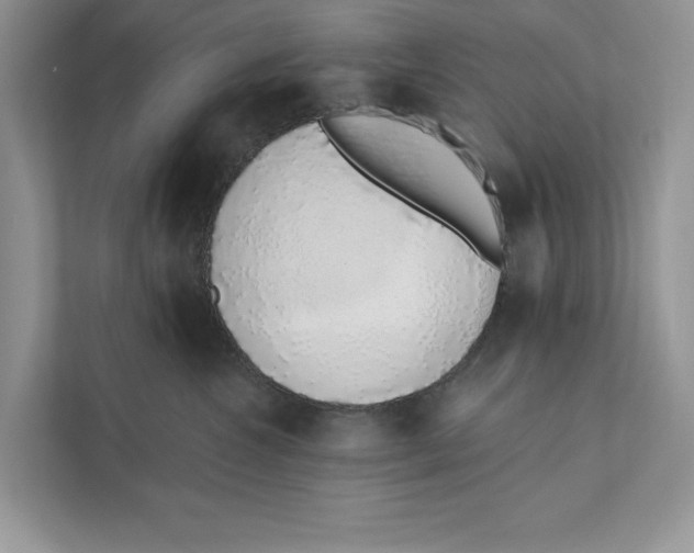 X0000110860572200907091343