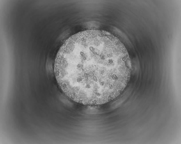 X0000110860573200907091343