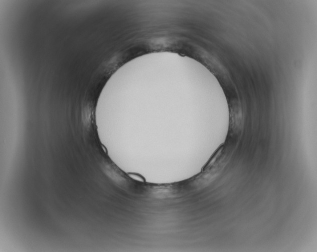 X0000110860574200907091343