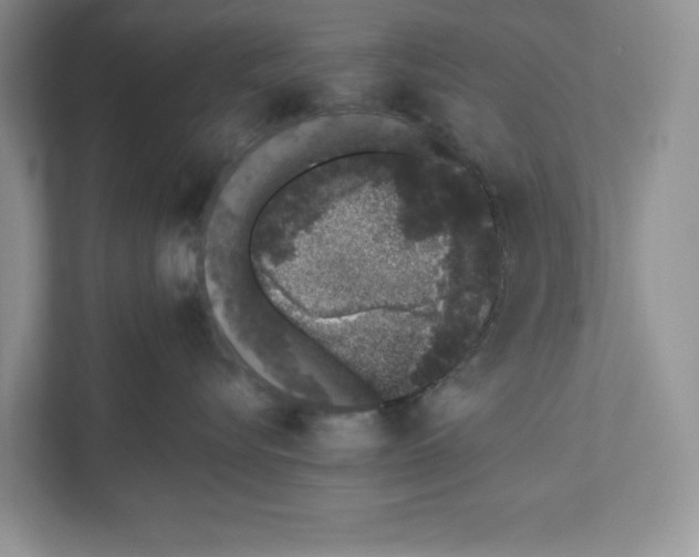 X0000110860576200907091343