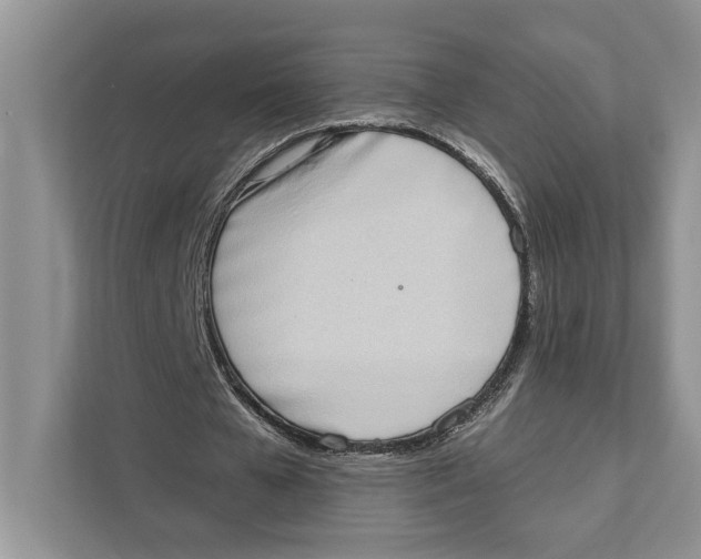 X0000110860577200907091342