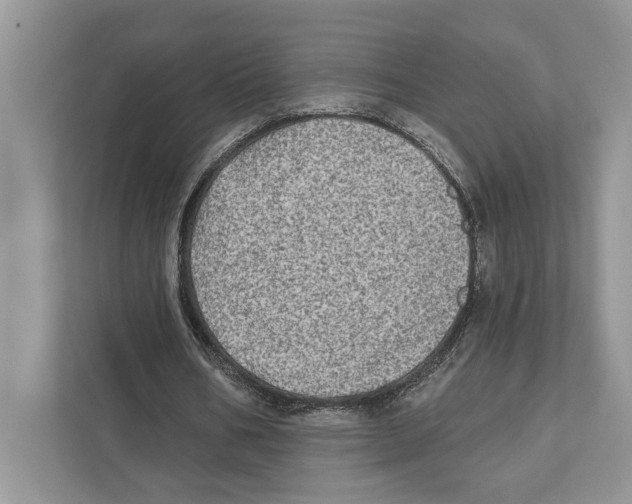 X0000110860578200907091342