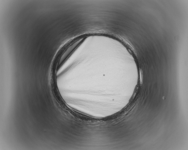 X0000110860579200907091342