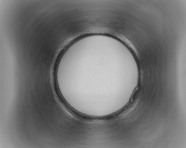 X0000110860581200907091342