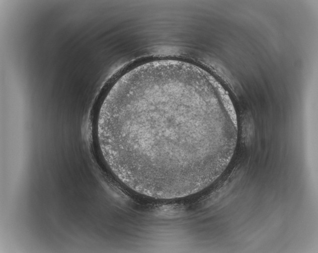 X0000110860584200907091342