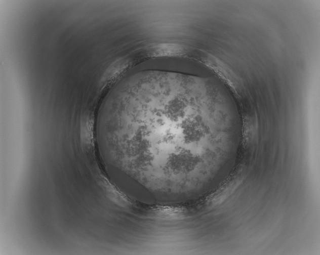 X0000110860585200907091342