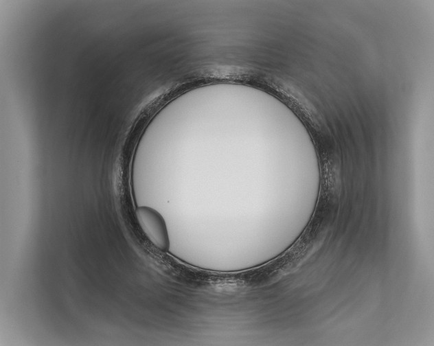 X0000110860587200907091342