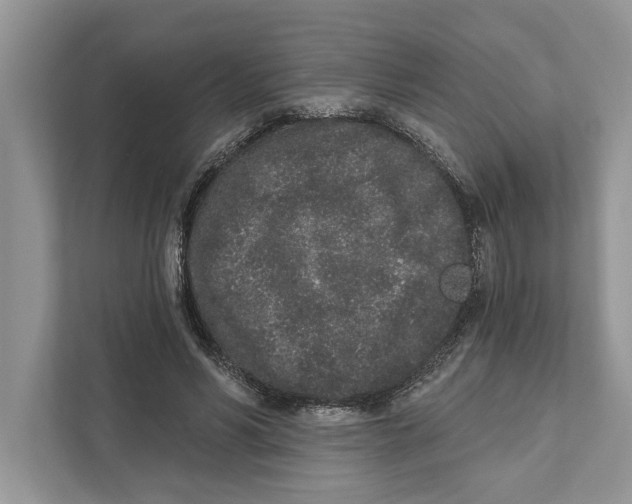 X0000110860590200907091342