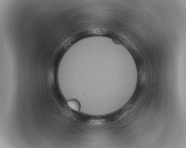 X0000110860595200907091342