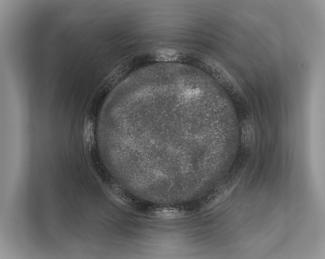 X0000110860598200907091342