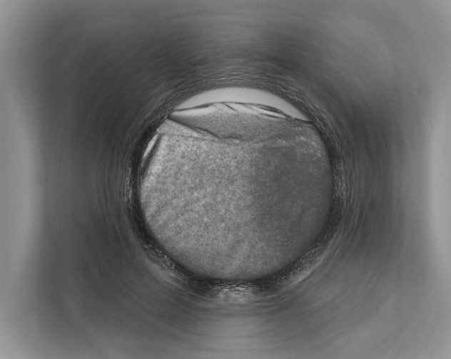 X0000110860599200907091342