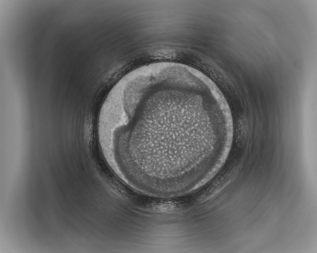 X0000110860600200907091342