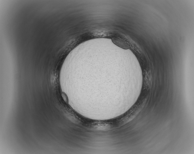 X0000110860601200907091342