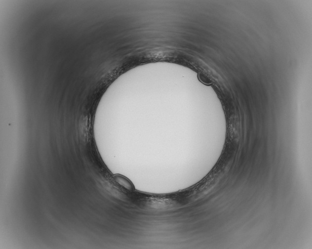 X0000110860605200907091342